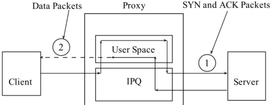 Figure 4.7: Transparent Proxy Mechanism