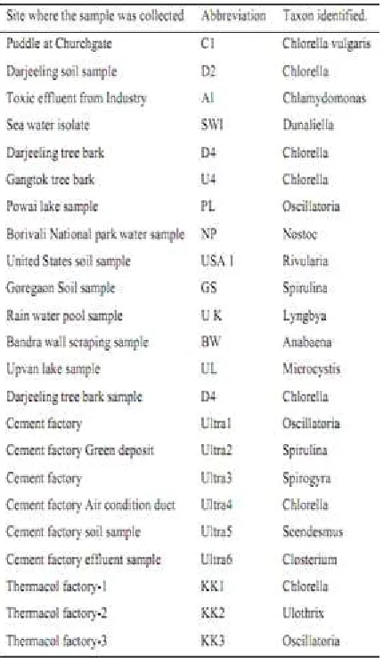 Table 2. Identification of isolated algal cultures  