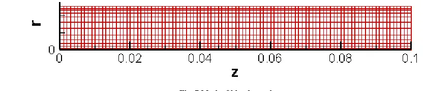 Fig. 7.Mesh of blood vessel 