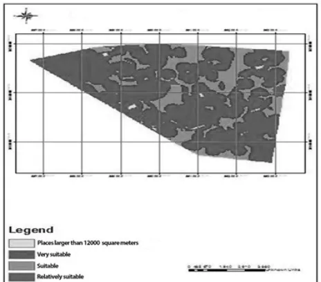 Figure 9. suitable spaces meeting the requirement of the area of 12000 m2.