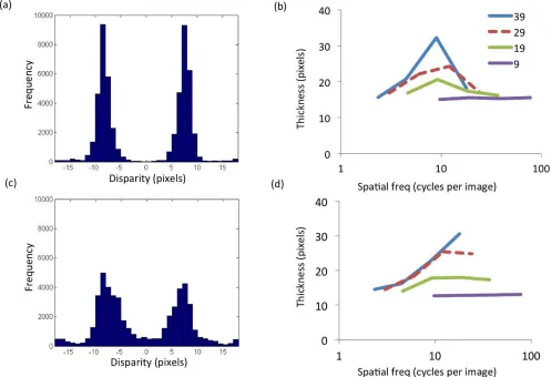 Figure 7. Output of correlation model for f ¼ 0.5/w. (a) Volume versus plane stimuli, (b) volume stimuli 50 versus 250 elements, (c)plane stimuli, high or low disparity gradients