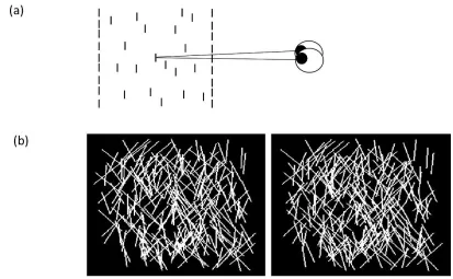 Figure 1. (a) Cartoon showing the form of the ‘‘volume’’ stimulus. Observer views elements within a volume, 25% on rear surface,25% on front surface, and 50% at random positions in between