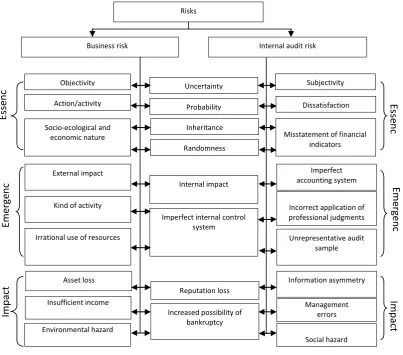 Fig. 1. Categorical and terminological interpretation of risks in the internal audit system 