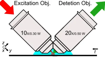 Figure 1. The iSPIM geometry of light sheet microscopy used in this paper allows to image tissue samples mounted on standard microscope slides
