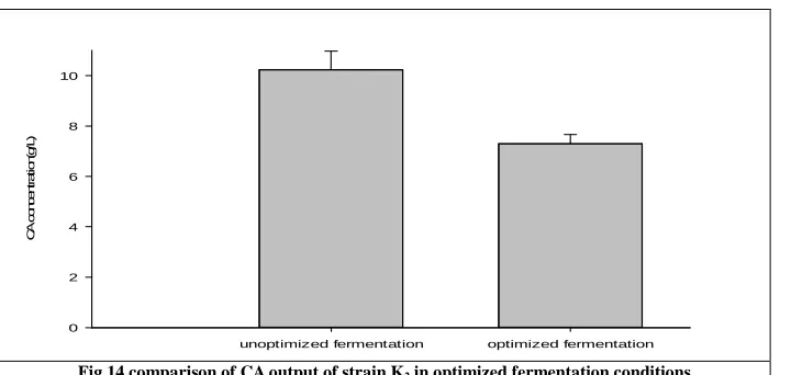 Fig 14 comparison of CA output of strain K2 in optimized fermentation conditions 