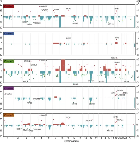 Fig. 2. Integrative subgroups have characteristic molecular proexpressed genes (DEG) are superimposed for each cluster; only genes with log2 fold changeﬁles