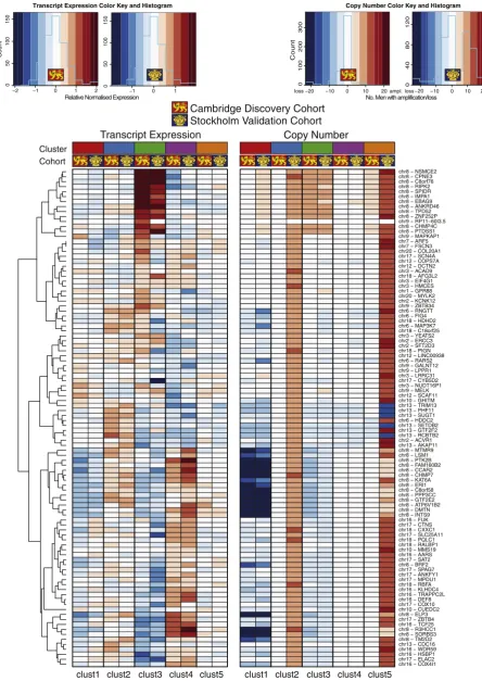 Fig. 3. Copy number and expression levels for 100 clustering genes in each integrated cluster