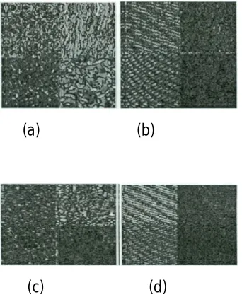 Figure 1:(a)-(D) Mean subtracted magnitude    of the DWT . 