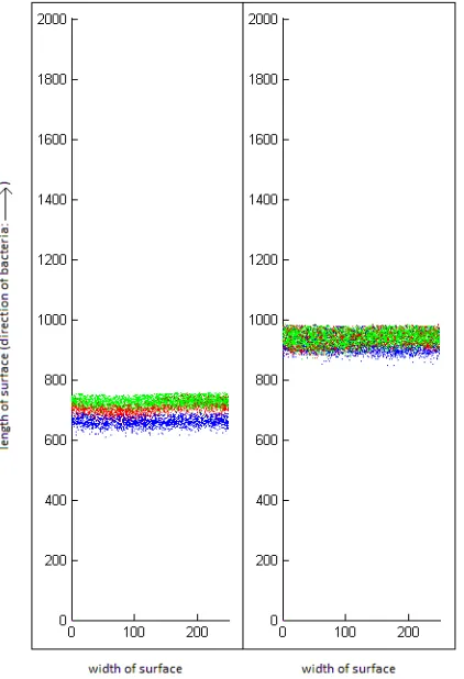 Fig. 1.1: Simulation of segregation (left) and co-localization (right) of mixed, swarming communities