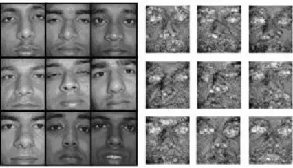 Figure 2. Face and ear images and their gabor responses 