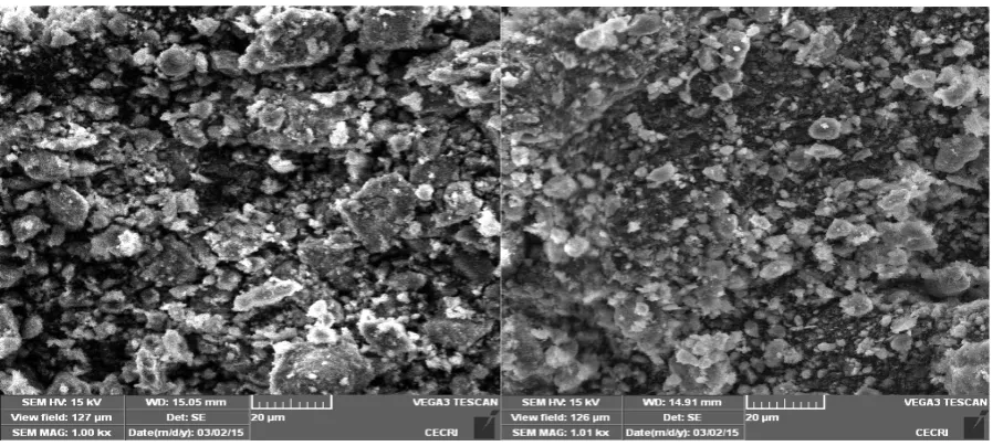 Figure 2.  SEM Image of Clay (Left) and Red Soil (Right) 