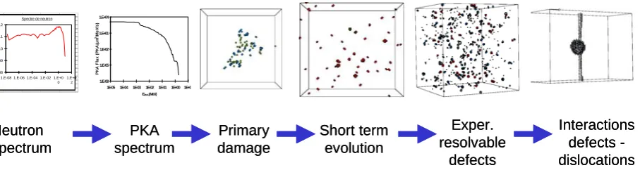 Fig. 2: Microstructure modelling under irradiation. 