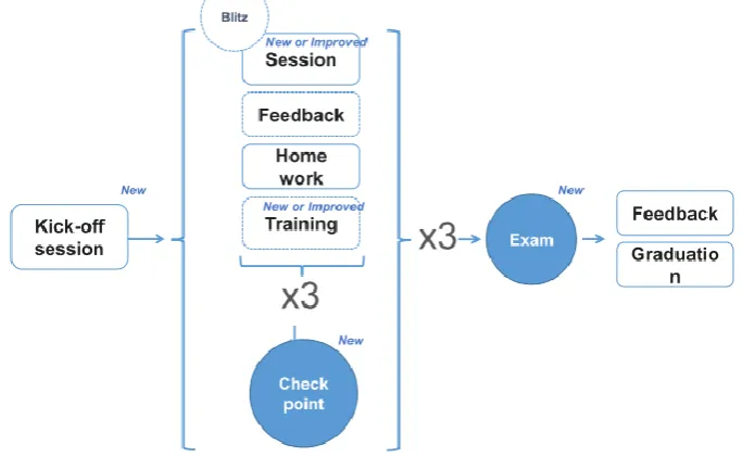 Fig. 1. Grading of IT specialists 