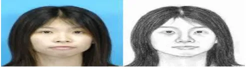 Figure 1.2: Example of forensic sketch and its corresponding photograph 
