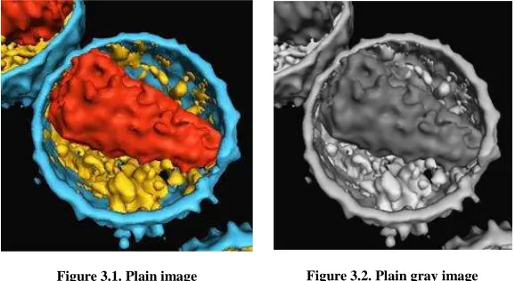 Figure 3.1. Plain image  