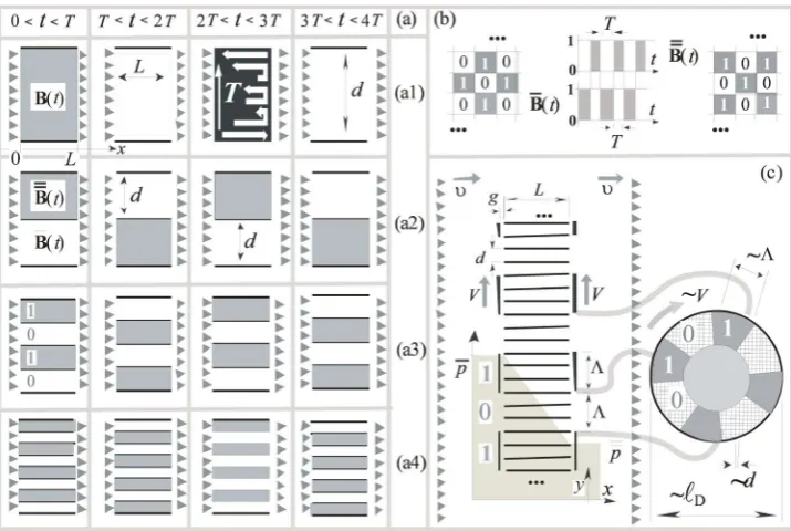 Figure 5. On the action of ASBG: (a) temporal sequence of states (“1”—closed state and “0”—opened state) of breakers-inverters at their growing amount ((a1), for 1 waveguide), (a2) 2 waveguides, (a3) 4 waveguides), (a4) 8 waveguides); (b) complementary bre