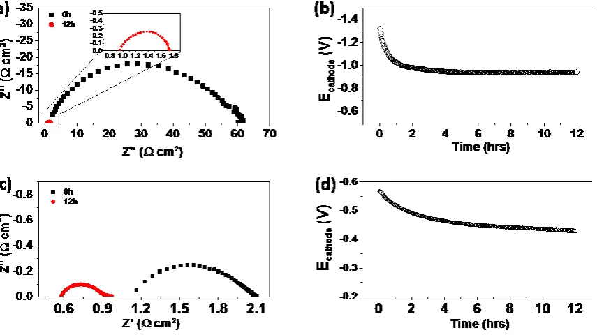 Figure 1. Electrochemical performance of directly assembled LSM cathode on (a,b) YSZ and (c,d) GDC electrolytes before and after polarization at 900 oC and 500 mAcm-2 for 12 h