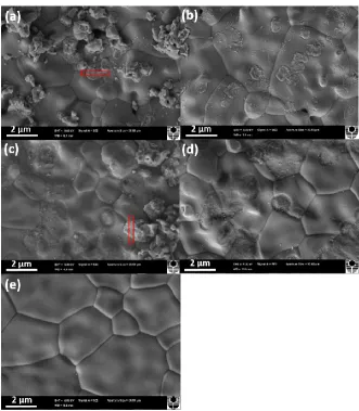 Figure 2. SEM micrographs of YSZ electrolyte surface after polarization at 900oC and 500 mAcm-2 for (a,b) 1 h and (c,d) 12 h