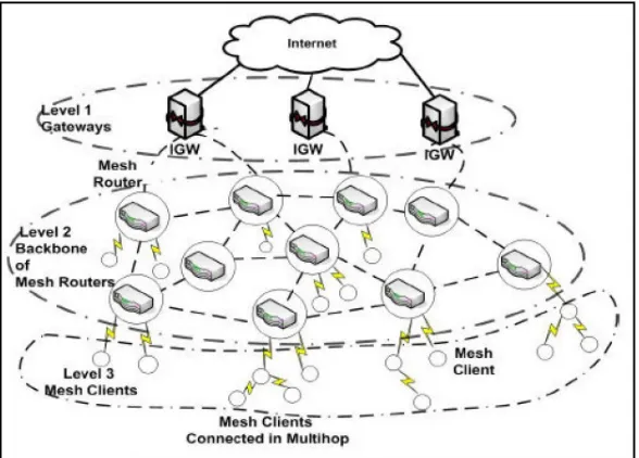 Fig. 3.1. The three-tier architecture of a wireless mesh network (WMN)