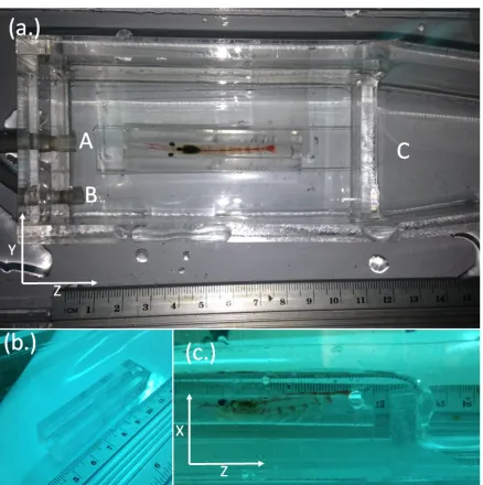 Figure   1   –   krill   bath   and   trap   arrangement   
