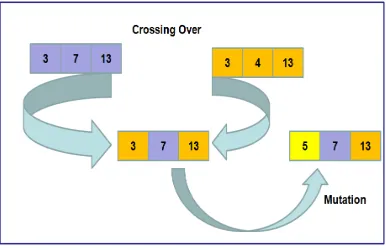 Fig. 3.3. Crossing Over and Mutation