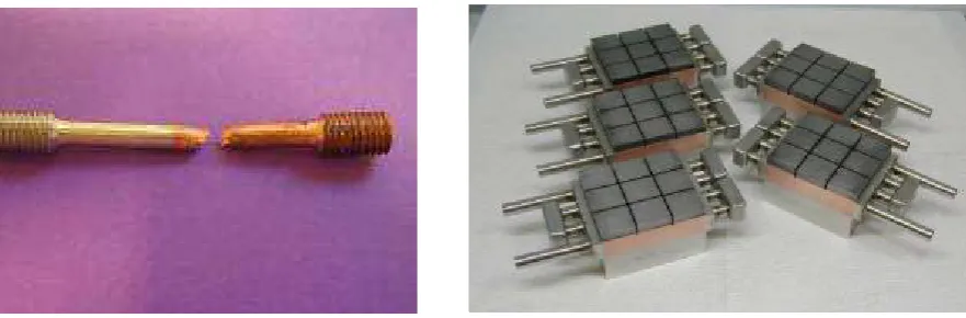 Fig. 1: Tensile tests specimens CuCrZr/316LN. 