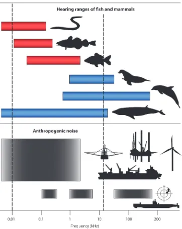 Figure 2.4. Diagrammatic representation of the overlap between the hearing ranges of different kinds of fish andmammals and the frequency of sound produced by different human-generated sources (from Slabbekoorn et al.,2010)