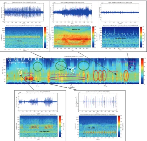 Figure 3.1. The middle panel shows a 3-week spectrogram of the marine soundscape at the IMOS Perth Canyon acoustic observatory.spectrogram) show zoomed-in spectrograms of a few example sound signatures, and their pressure time series waveforms