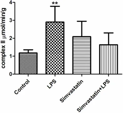 Figure 4. Activities of citrate synthase in groups of muscle tissues, *: P < 0.05, experimental groups vs