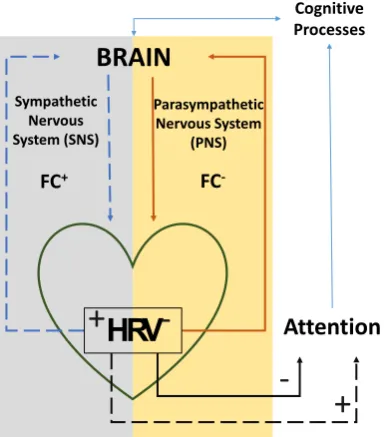Figure 1. Simplified theoretical model scheme. Source: The authors. 