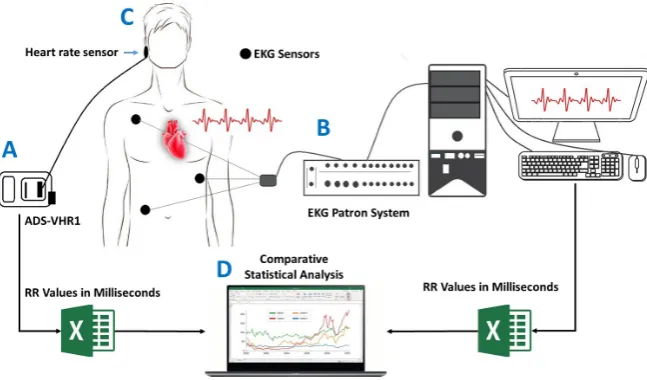 Figure 3. Validation of ADS-VHR1 by paired systems method. A: The ADS-VHR1 as-ADS-VHR1 heart rate sensor placed in the ear and electrocardiogram sensors, located in the thorax and abdomen