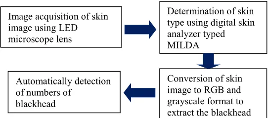 Figure 5.3: Objects labelling using Region Properties                    