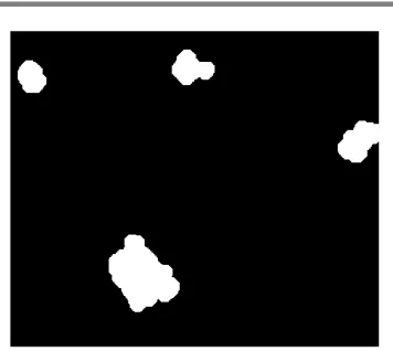 Figure 5.8 Automatically counted blackhead   