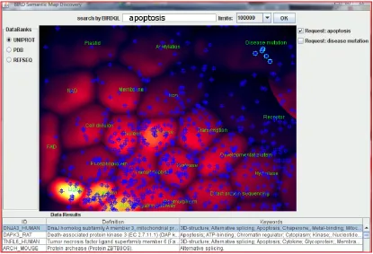 Figure 5. The global architecture of the Semantic Map Discovery prototype coupled with the BIRD System using  the BirdQL query engine