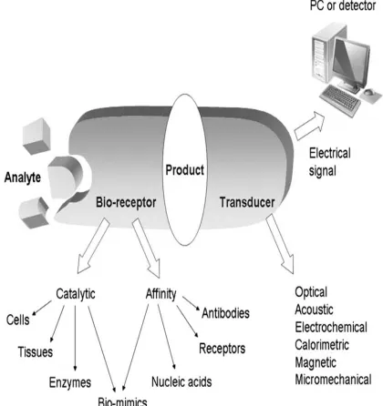 Figure [1]. Schematic representation of a biosensor. . 