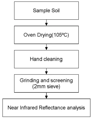Figure 1. Sample preparation steps 