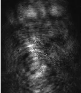 Fig.6: CCD output obtained when both choppers were blocking the beam. 