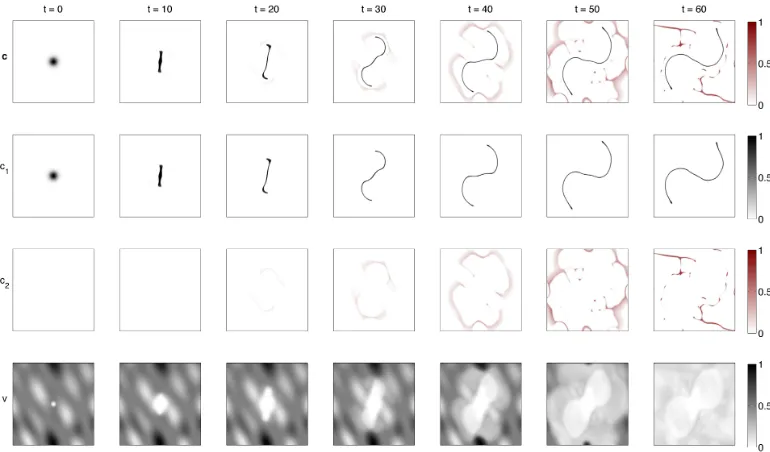 Figure 10: Simulation results of model (14) with parameter set B2.SeeRemark 4 for further details.