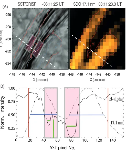 Figure 4. Fine-scale, multi-stranded, and multi-thermal substructures arethe loop. A white dashed diagonal slit and two pink boxed regions are extracted,and their normalized intensity proﬁles are plotted in panel (B) for comparisonof both spectral lines