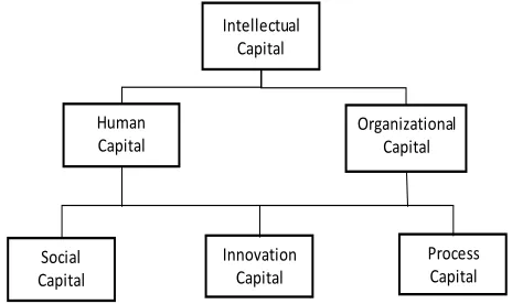 Fig. 1  Different types of capital, Edvinsson (2005) 