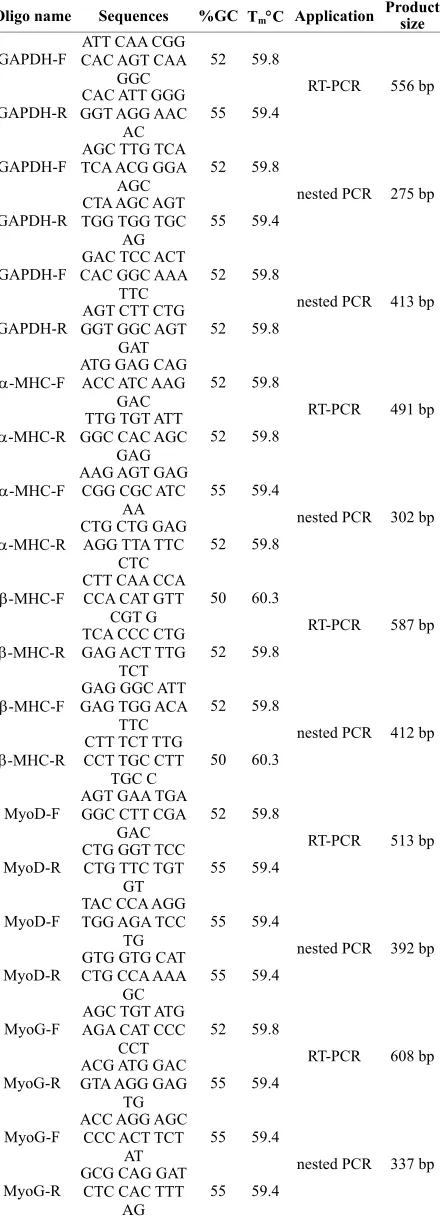 Table 2. Correlation matrix of mRNA expression levels in P19CL6 and H9C2 (2-1) cells, and skeletal muscle, adult heart and embryonic heart tissue samples, as analyzed by microarray analysis