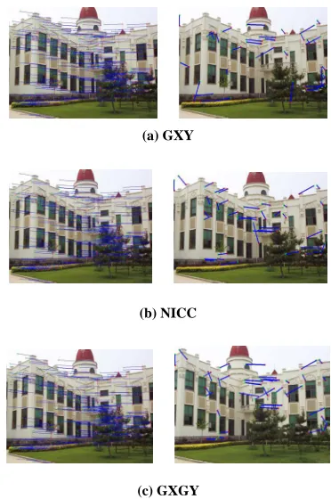 Figure 1. Final matching result and deleted outliers. 