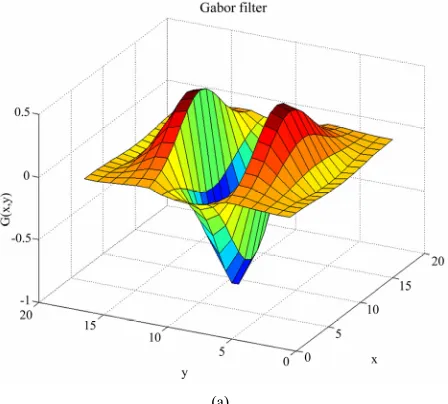 Figure 2. (a) Surface representation of Gabor filter; (b) Real part of Gabor filter. 