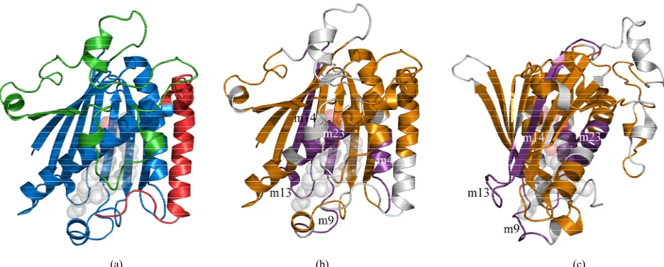 Figure 2. Cartoon representation of rat PITPthe same structure. The four conserved sequence motifs; m4, m9, m13, m14, and m23, representing branch points in the clado-in red