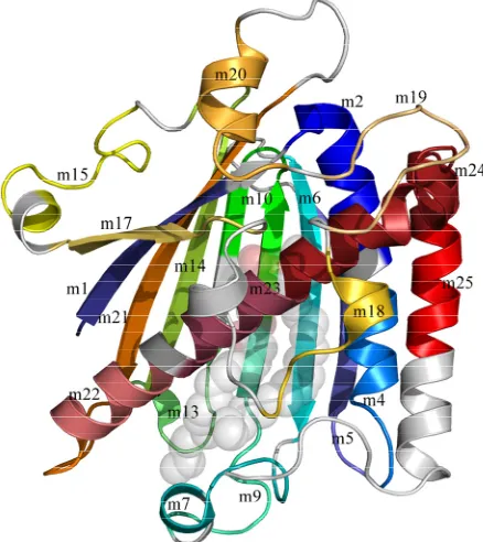 Figure 4. Sequence motifs mapped to the structure of rat PITPThe sequence motifs present in class I PITPs are shown in a rainbow spec-trum of colors from blue to red and from the :PtdCho