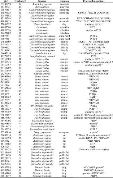 Table 5. Proteins used in phylogenetic analysis. 