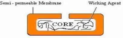 Fig: 4: EN SO TROL Technology