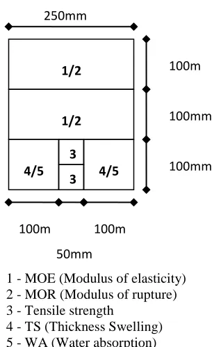 Figure 6.1: The cut of the board for exposure test pieces [4].     