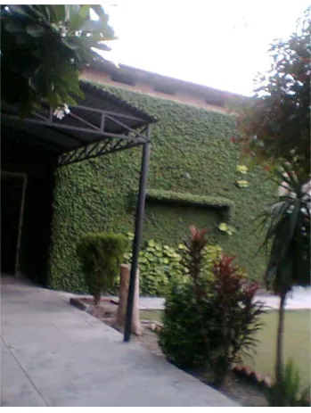 Figure 4.  The house no. R-50 