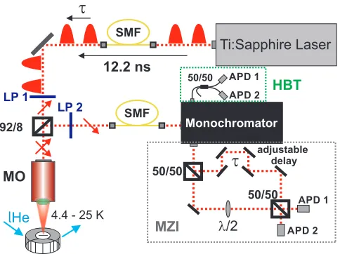 FIG. 1. Schematic of the experimental setup. The laser pulses